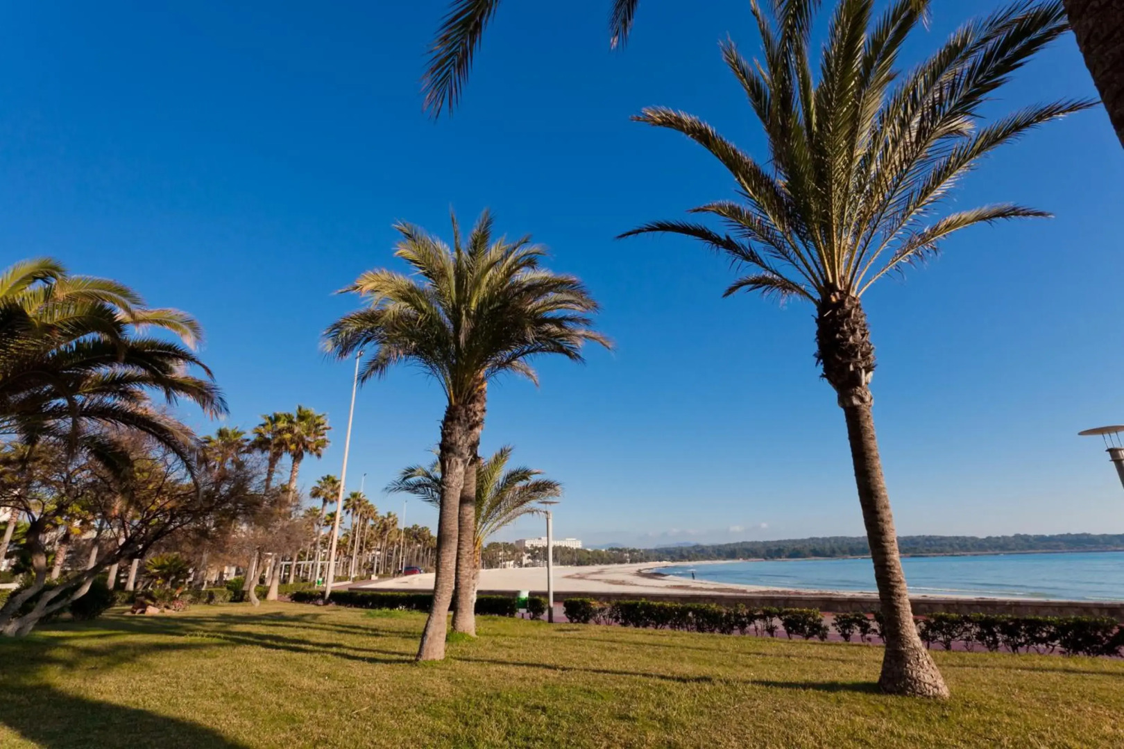 Foto - Hotel Brisa Marina