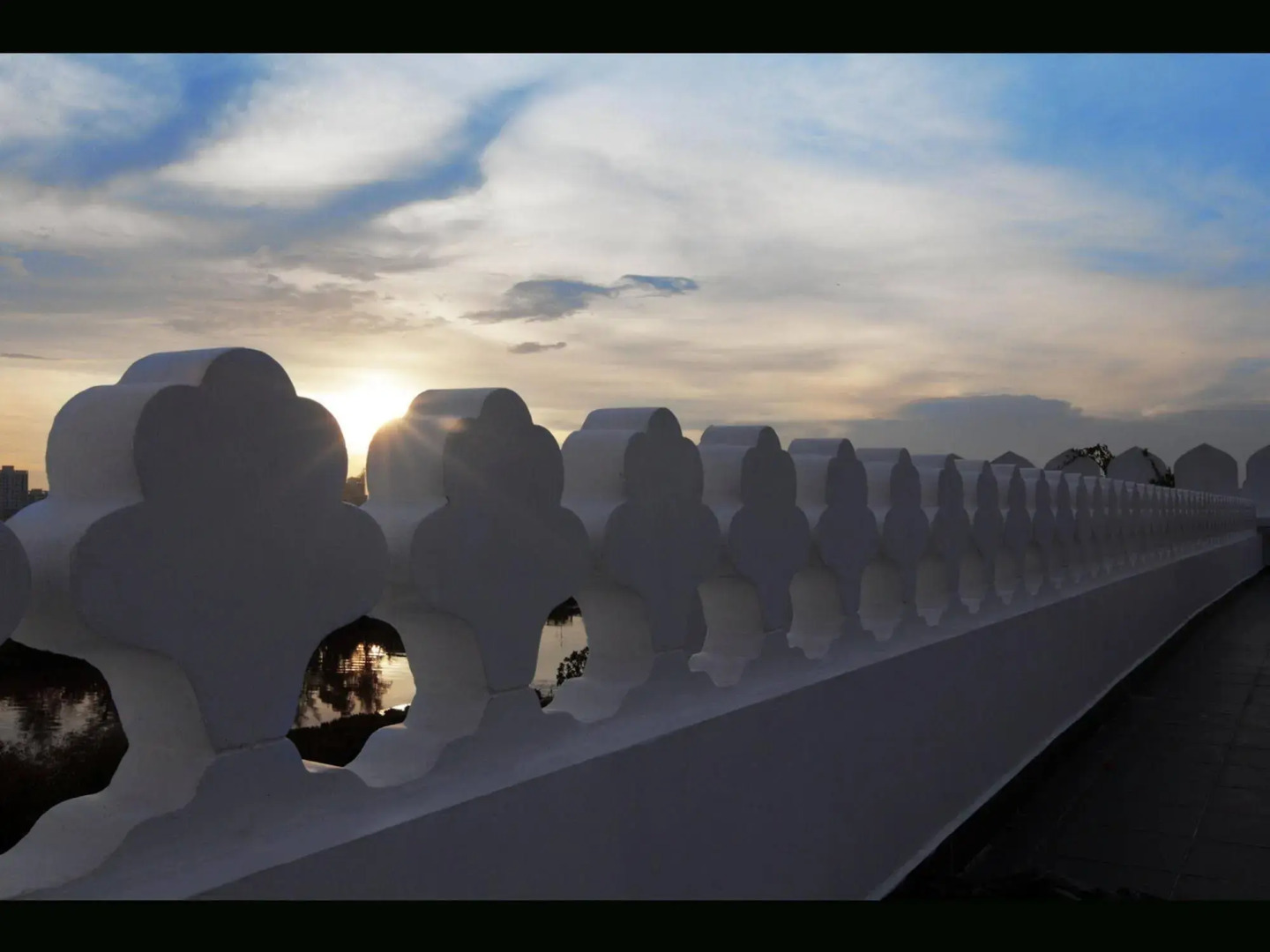 Photo - Chloe Gallery