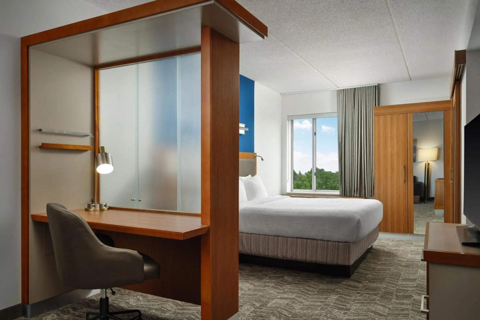 Photo - Springhill Suites by Marriott Pittsburgh Mt. Lebanon