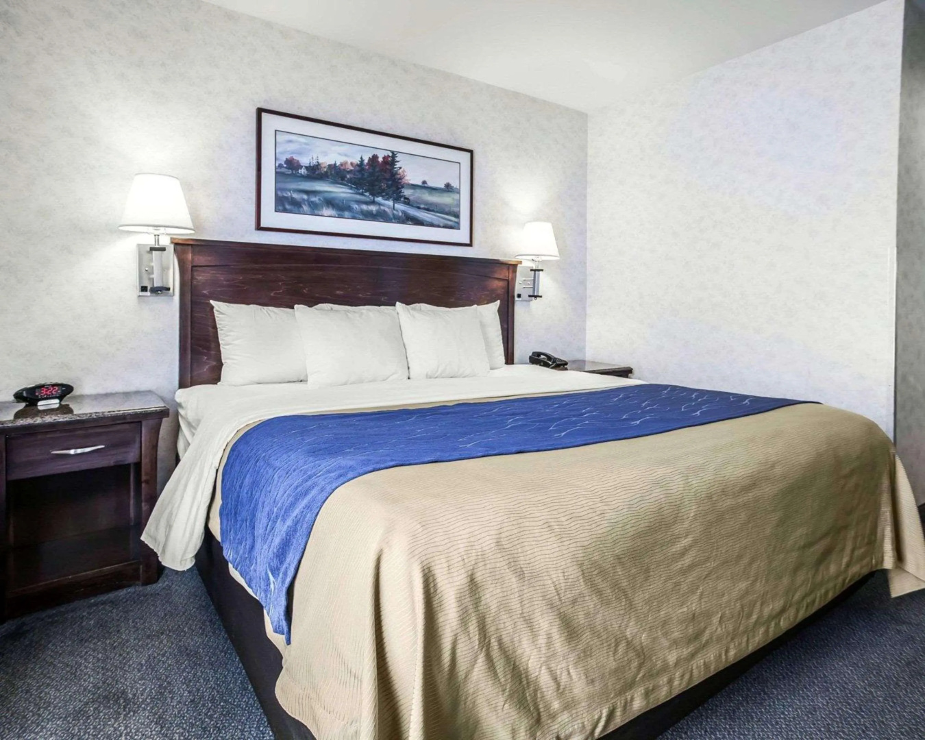 Photo - Comfort Inn Bellingham