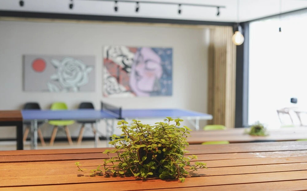 Foto - Innbox - Canasvieiras 2