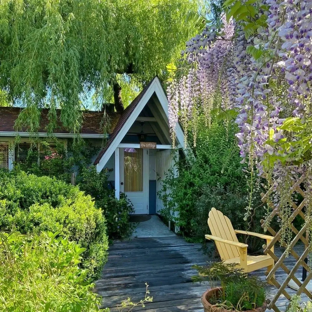 Foto - Wisteria Guest House