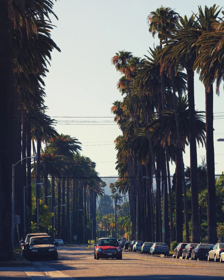 Photo - Loews Hollywood Hotel