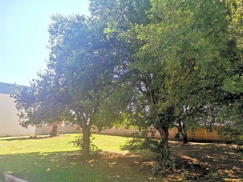 Photo - Sun1 Alberton
