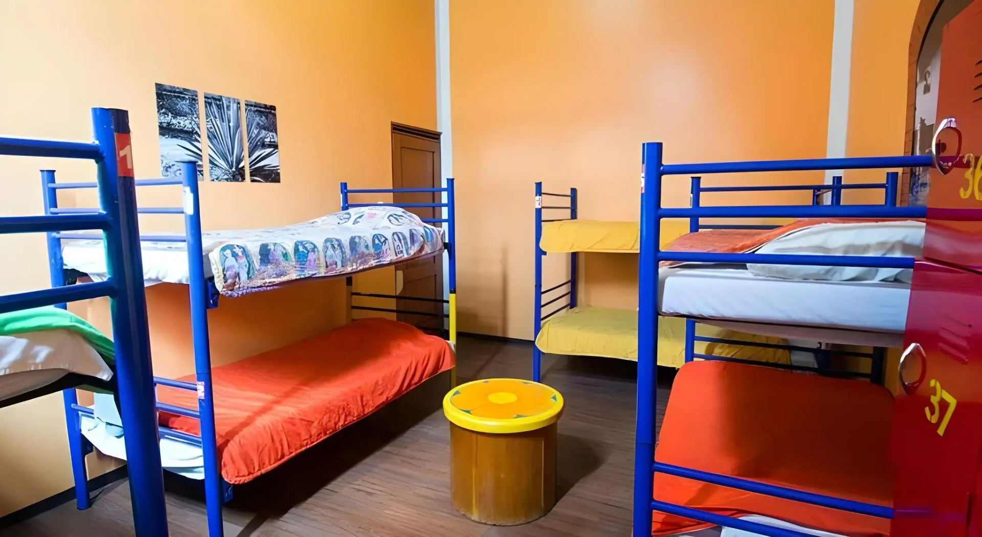 Photo - Hostal Amigo