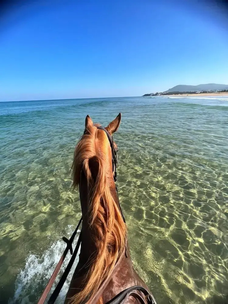 Foto - Royal Club Equestre Detroit Bed and Breakfast