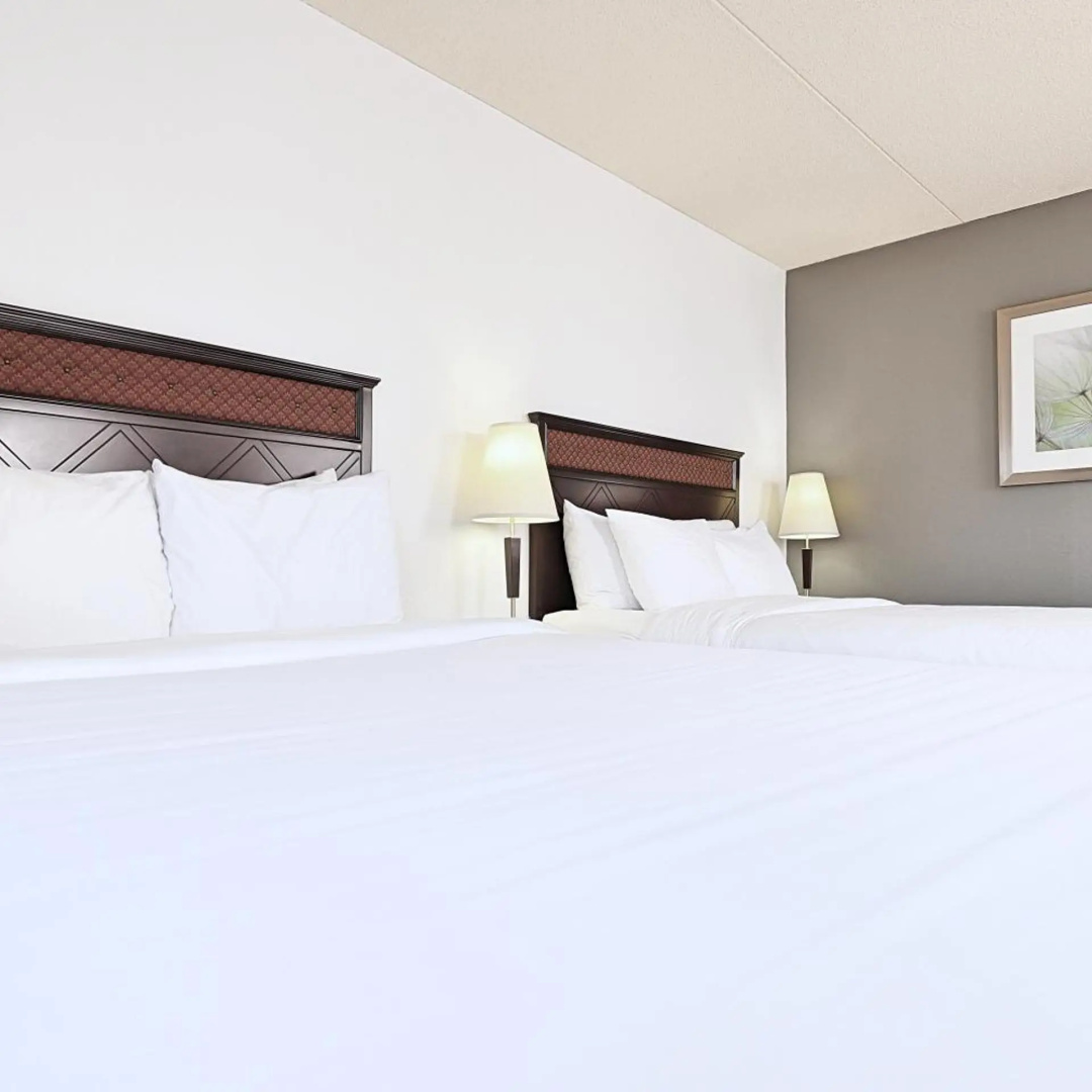 Foto - Lelux Hotel