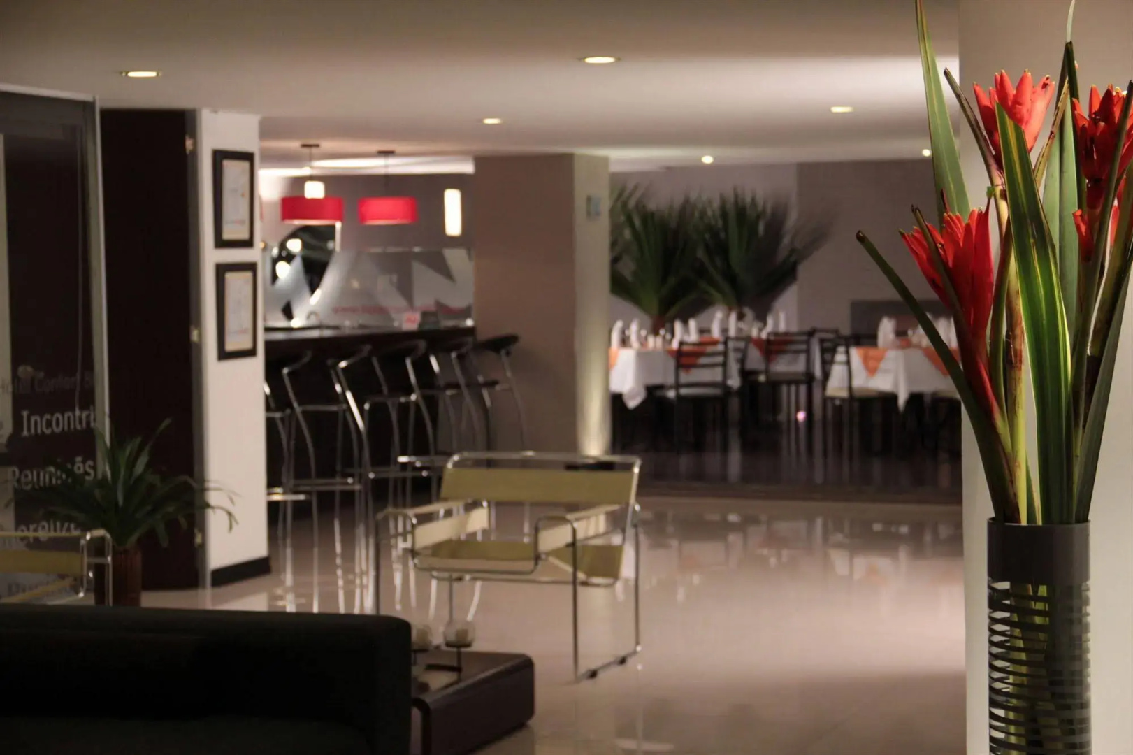 Photo - Hotel Confort 80 Zona Rosa