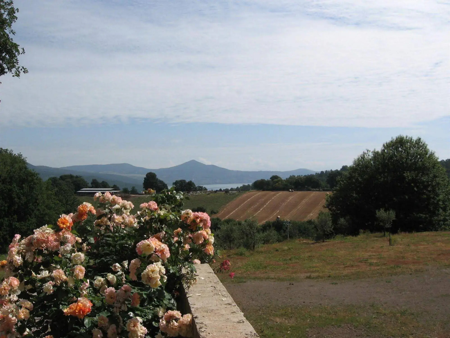 Photo - Agriturismo La Gismonda