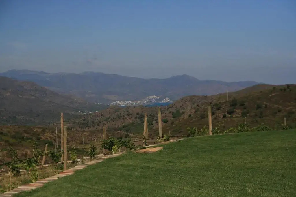 Foto - Sa Perafita - MF