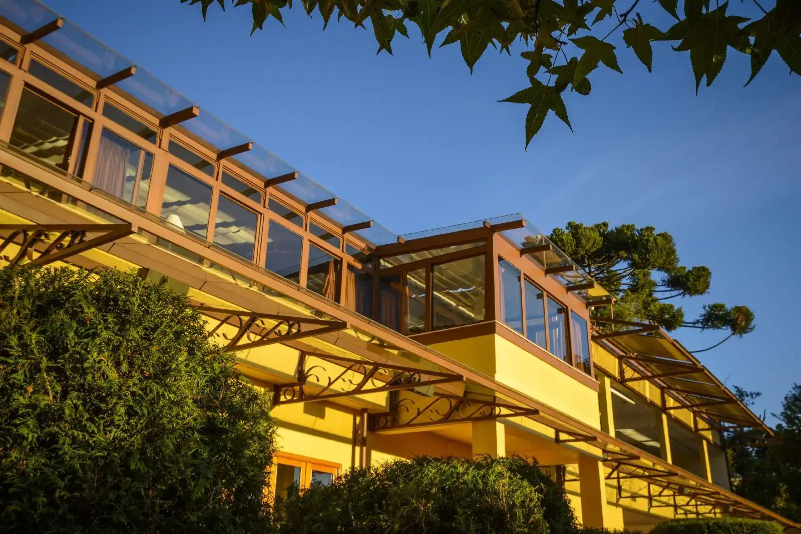 Foto - Hotel Le Renard - Campos do Jordao