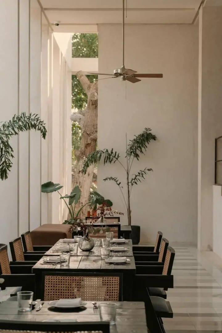Foto - Hotel Sureño Yucatán