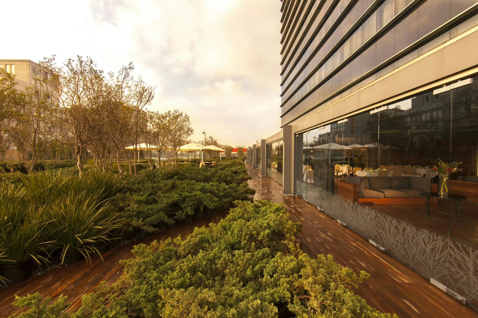 Photo - Hilton Mexico City Reforma