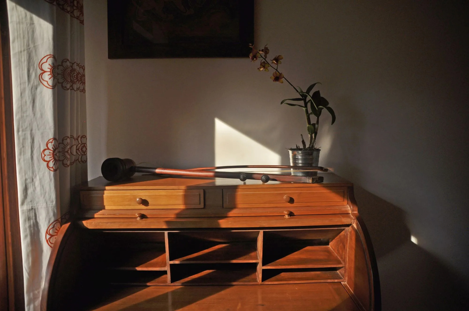 Photo - Maison Polanka