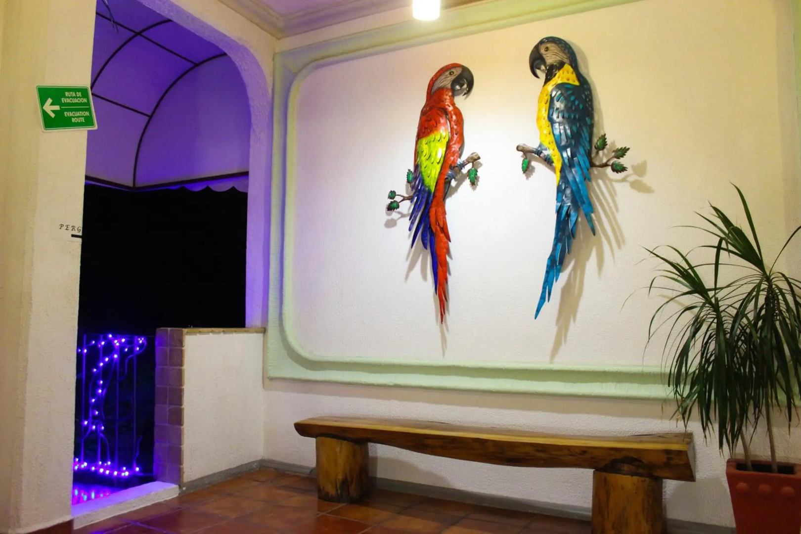 Foto - Hotel Careyes Puerto Escondido