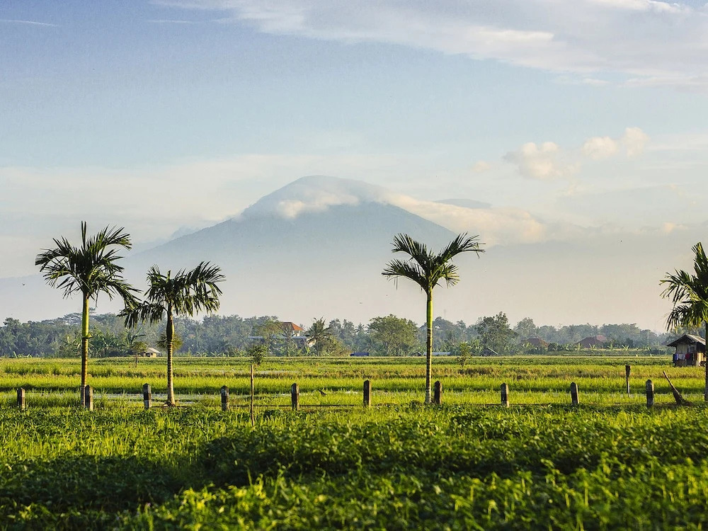 Photo - Villa Semarapura