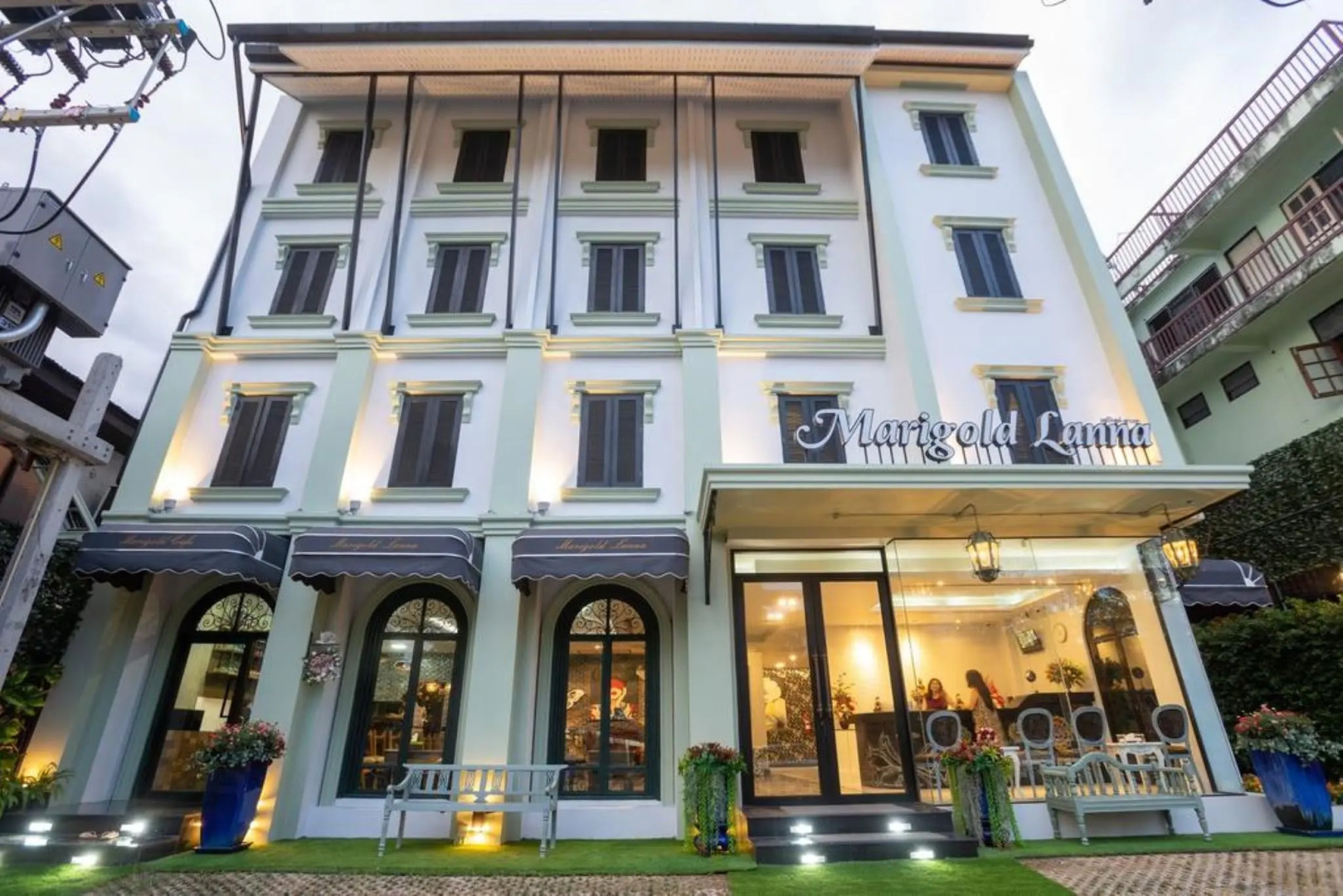 Foto - Marigold Lanna