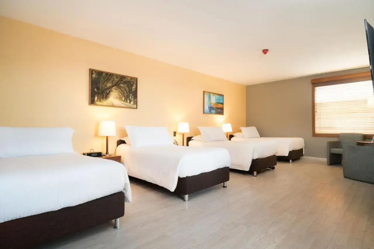 Photo - Hotel Habitel Select