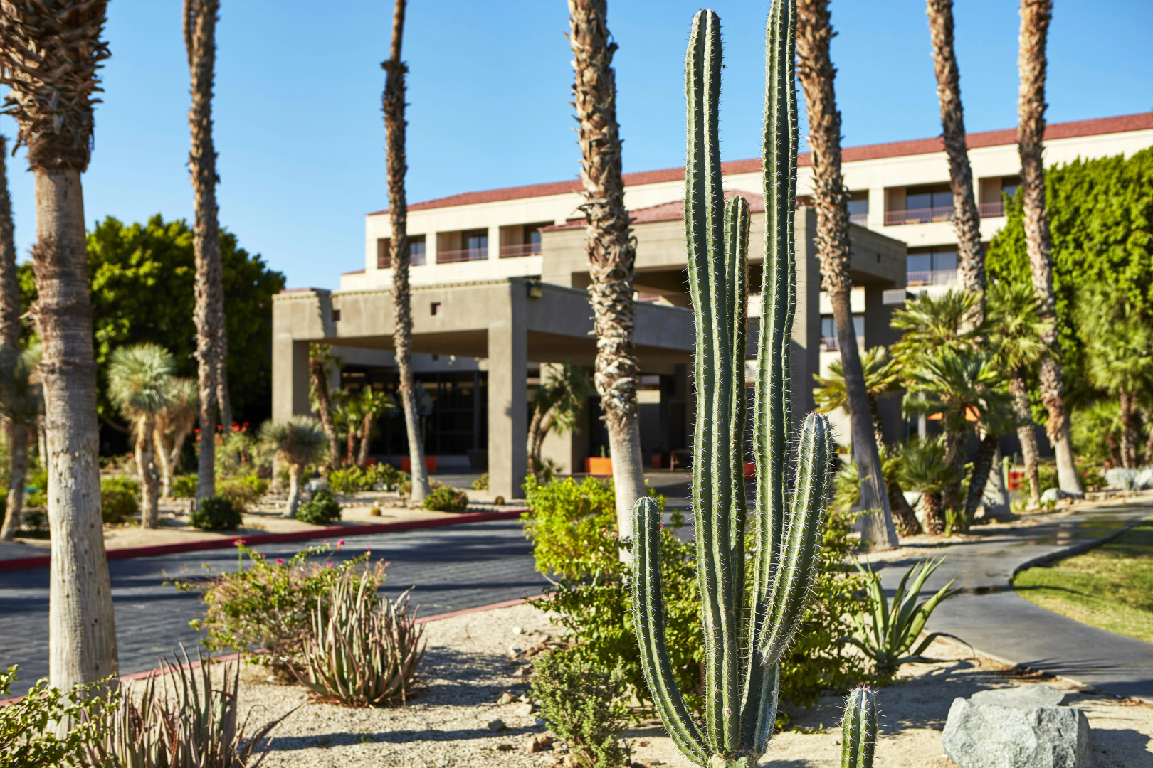 Photo - DoubleTree by Hilton Hotel Golf Resort Palm Springs