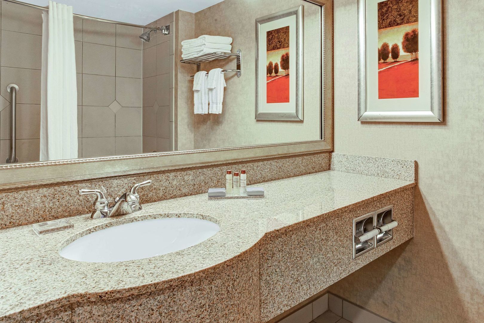 Foto - Holiday Inn - Tampa North by IHG