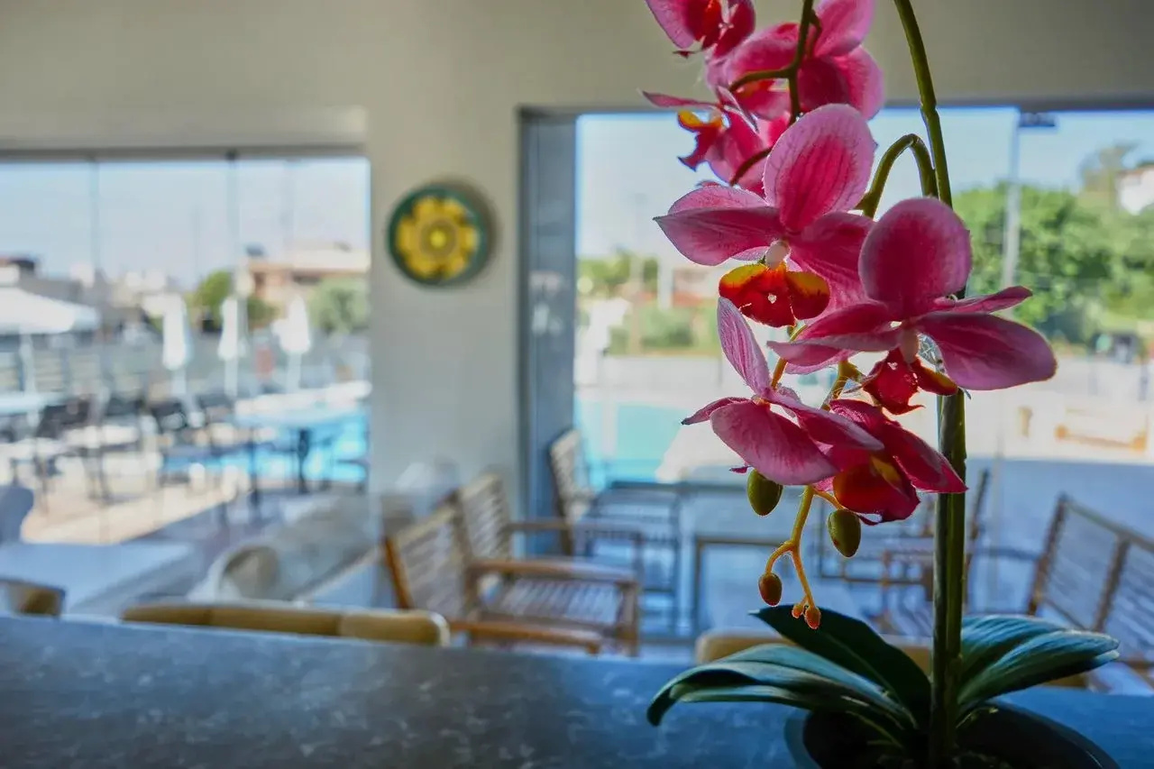 Photo - Ivory Serenity Hotel