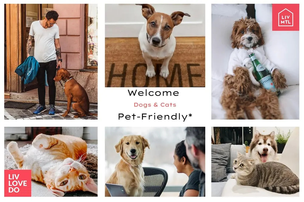 Photo - LiV MTL Soho