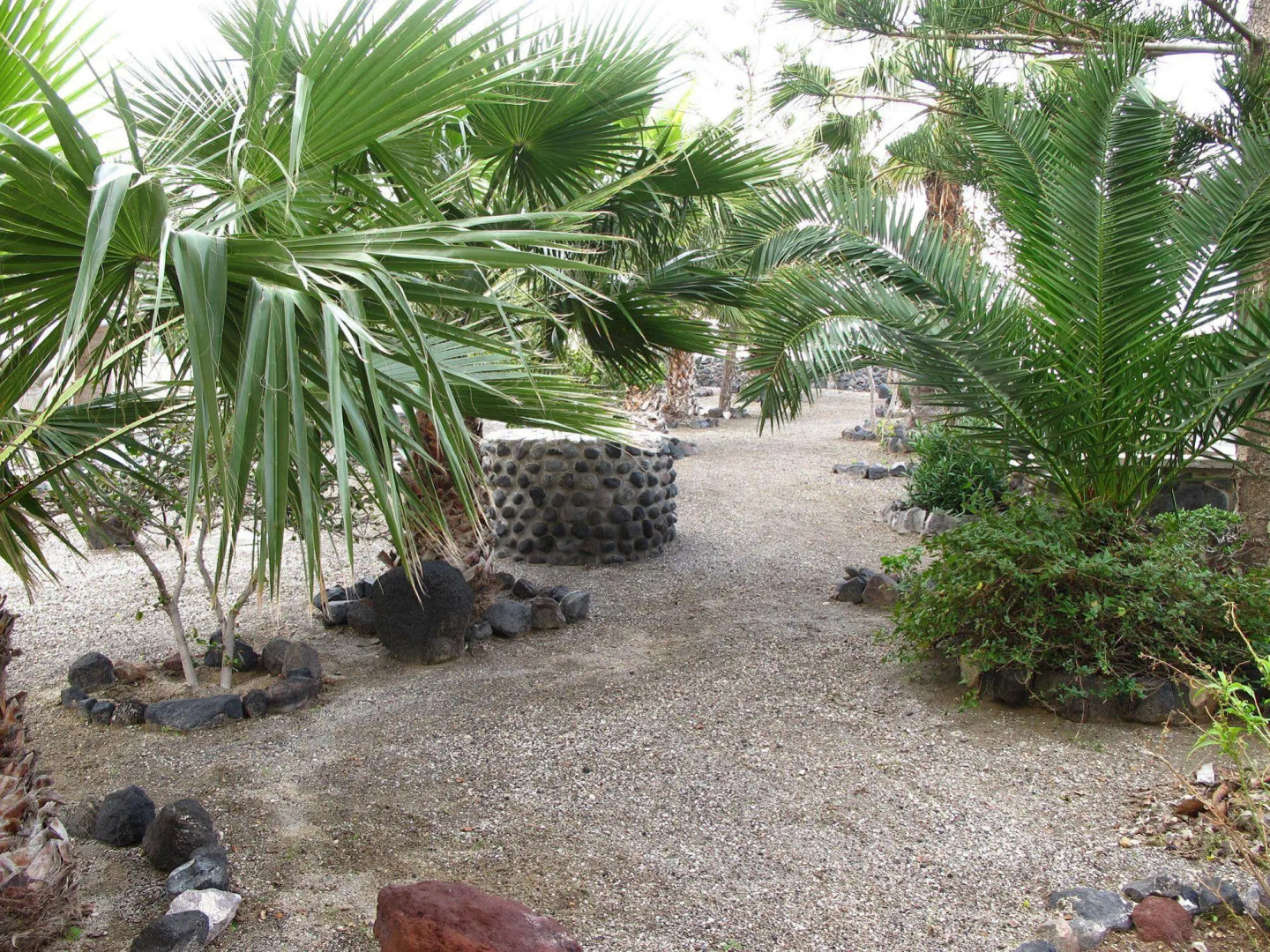 Photo - Santa Elena