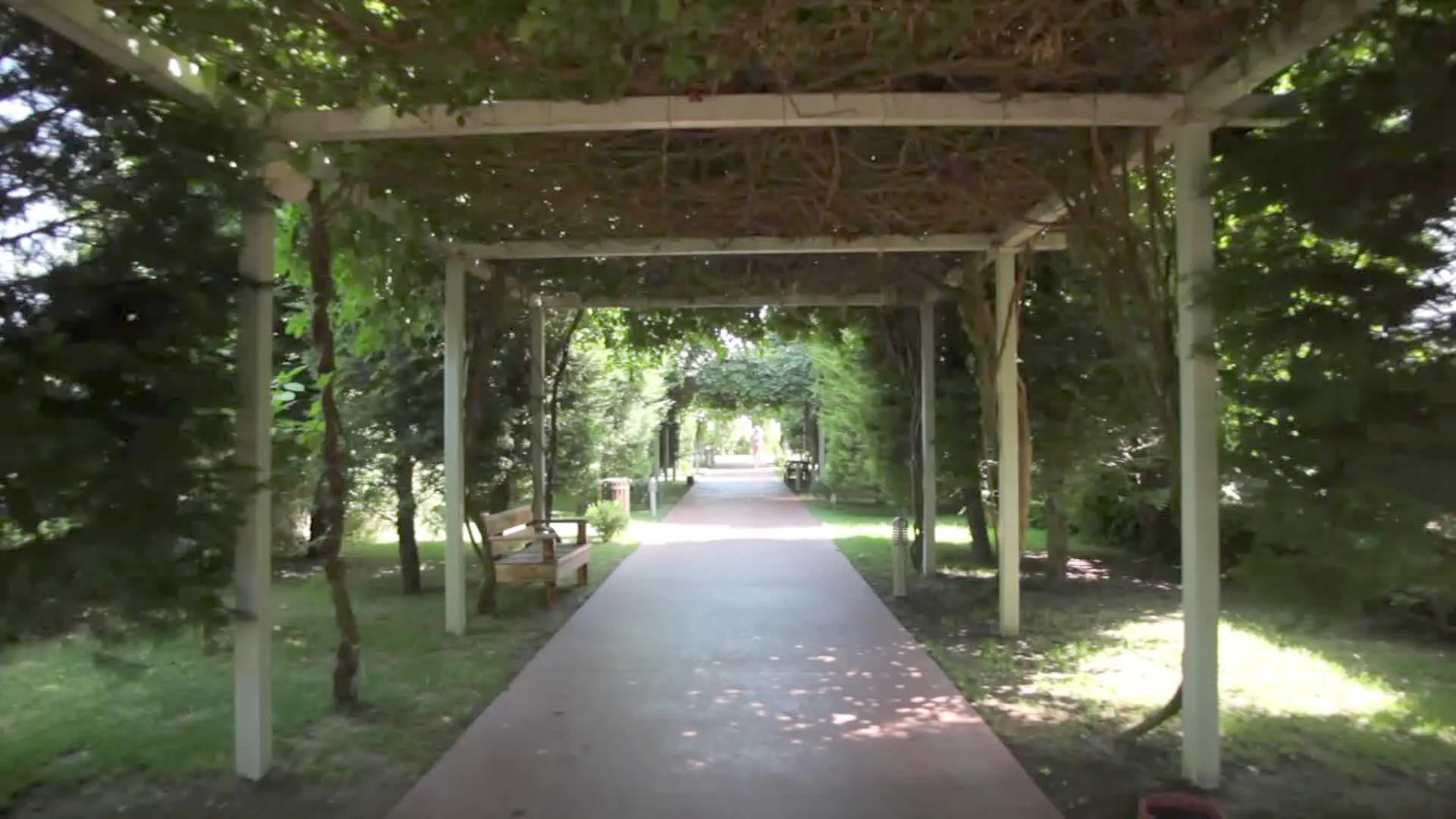 Foto - Saturn Palace Resort