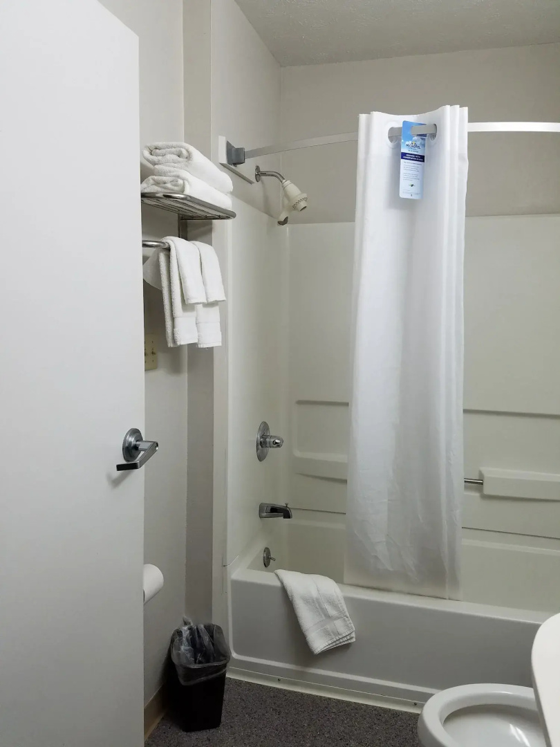 Photo - Microtel Inn & Suites by Wyndham London
