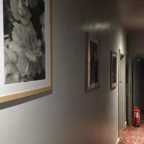 Photo - Peek-a-Booze - Budget Hotel - Adults Only