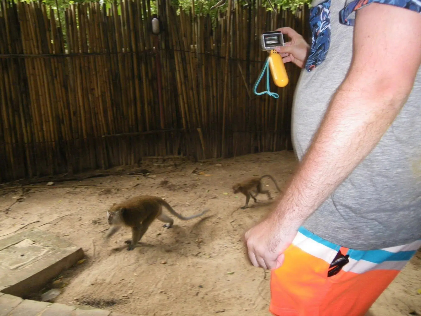 Photo - Diamond Cave Resort