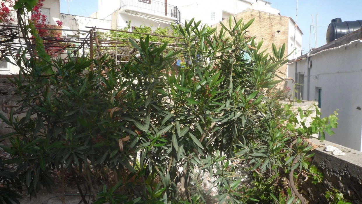 Foto - Kissamos Hotel