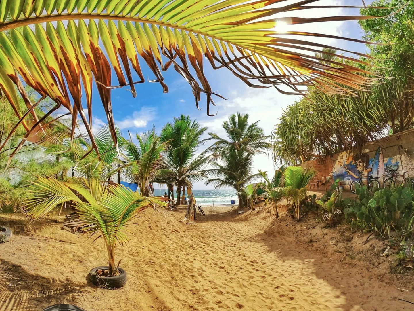 Foto - Pousada Sereia do Porto