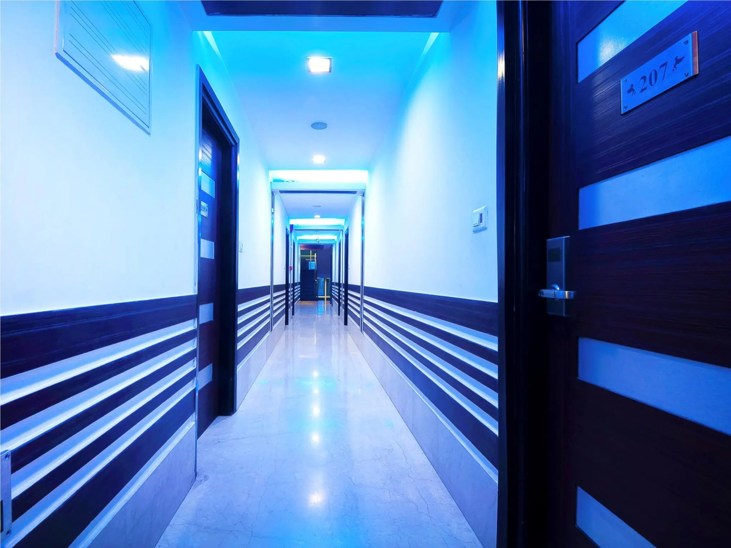 Foto - Hotel Amaltas International - Delhi-16