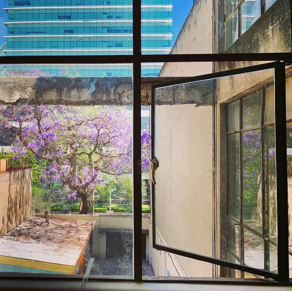 Foto - Mi Zona Lodging WTC