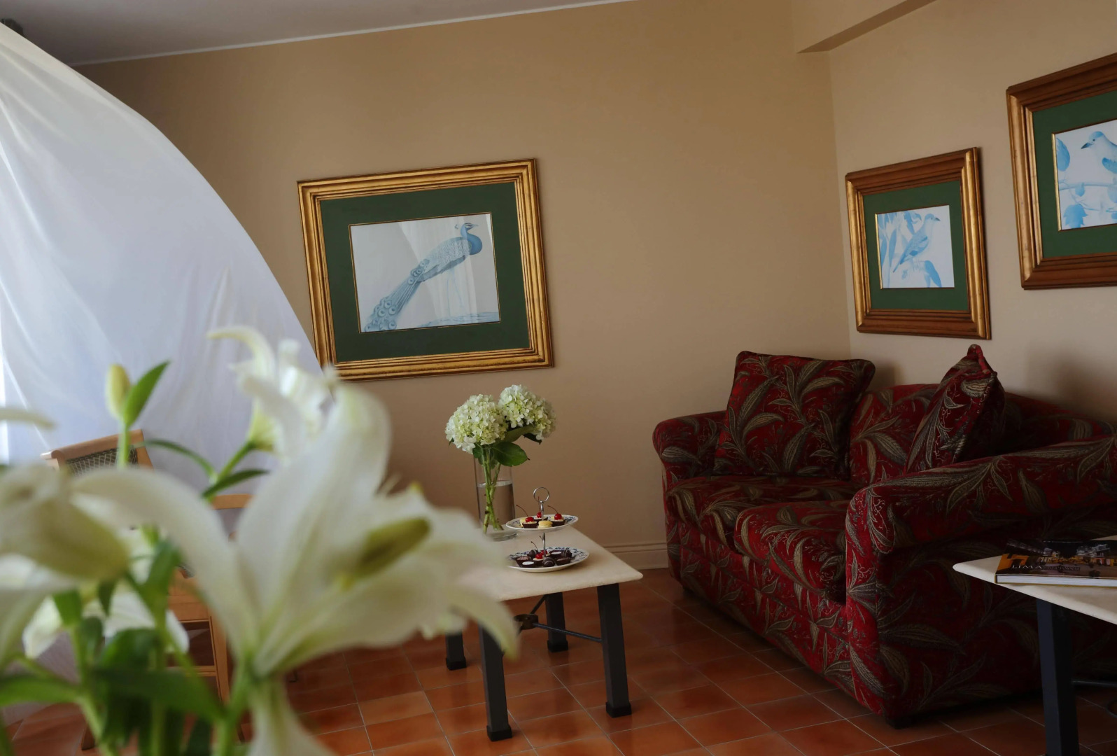 Foto - Suites del Bosque Hotel