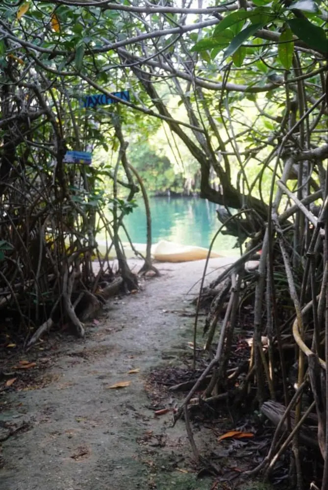 Photo - Yaxchen Tulum Cabañas & Cenote