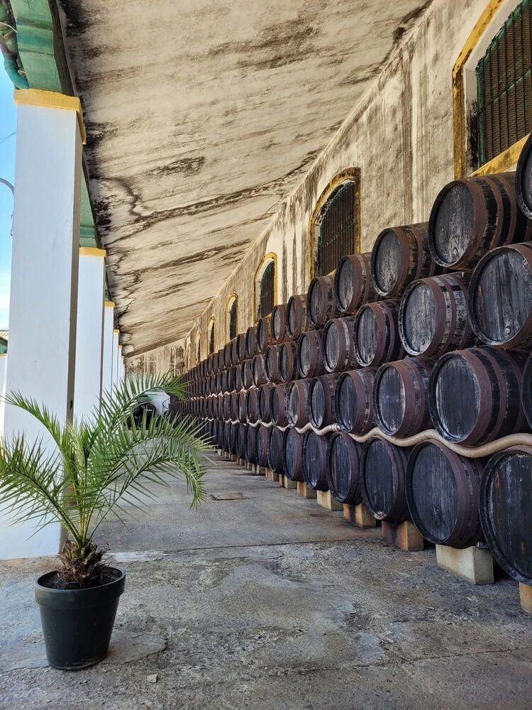 Foto - Albariza Hotel Boutique