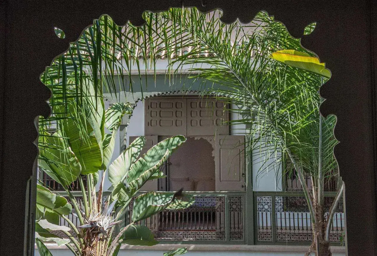 Foto - Riad Jaaneman