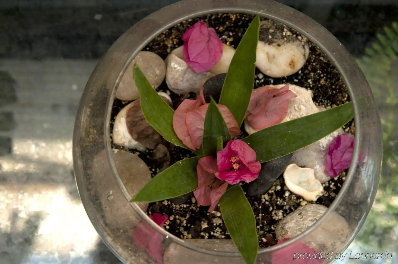 Foto - Beacon South Beach Hotel