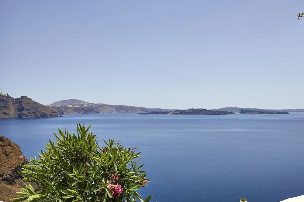 Photo - Allure Breeze Suites