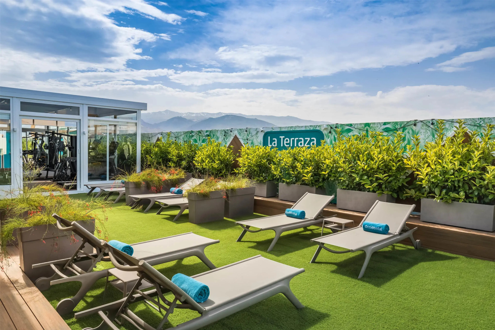 Foto - Occidental Granada