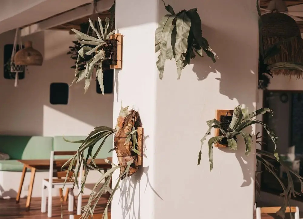 Foto - Canggu Village Accommodation