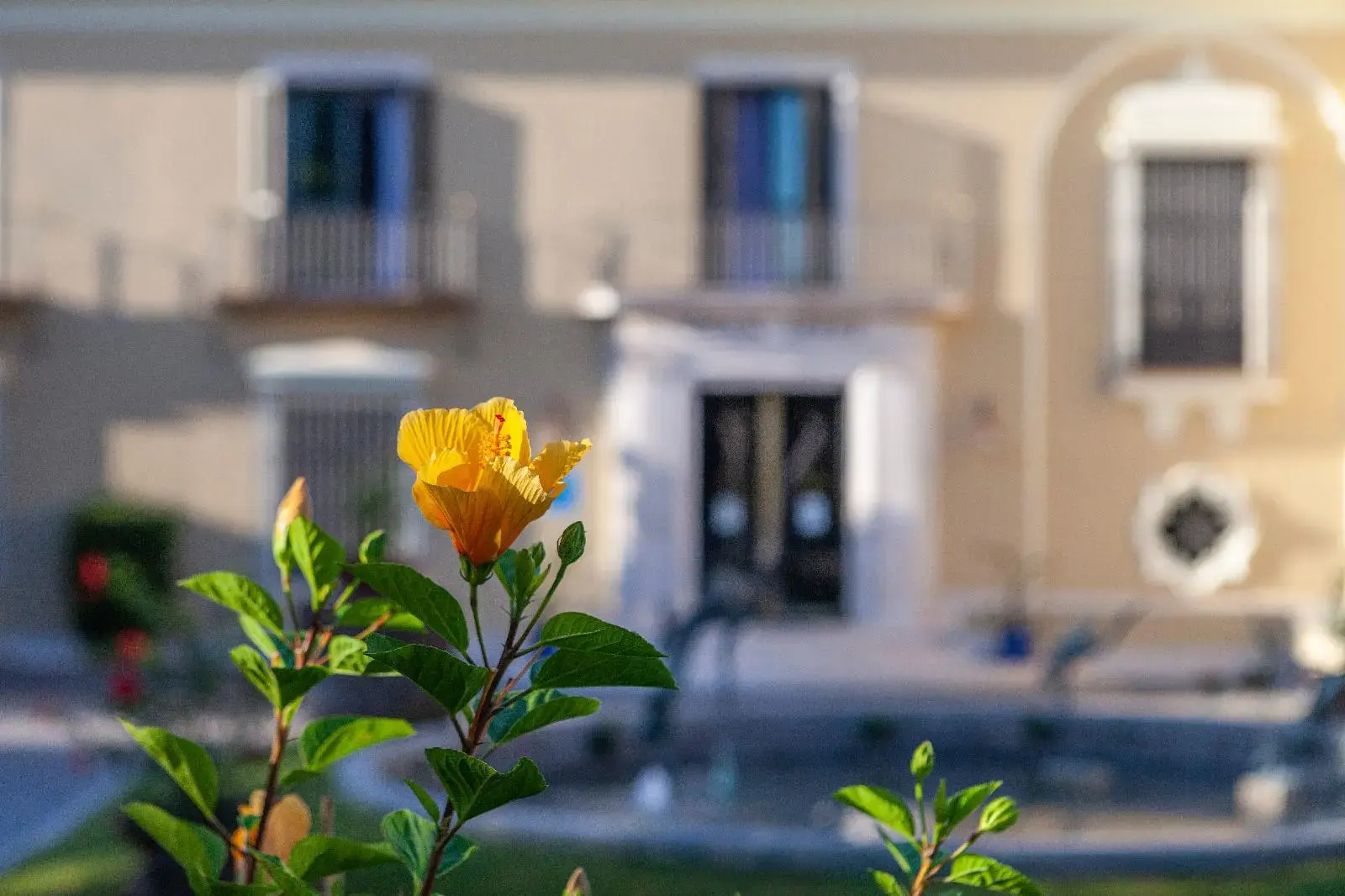 Foto - Hotel Villa Jerez