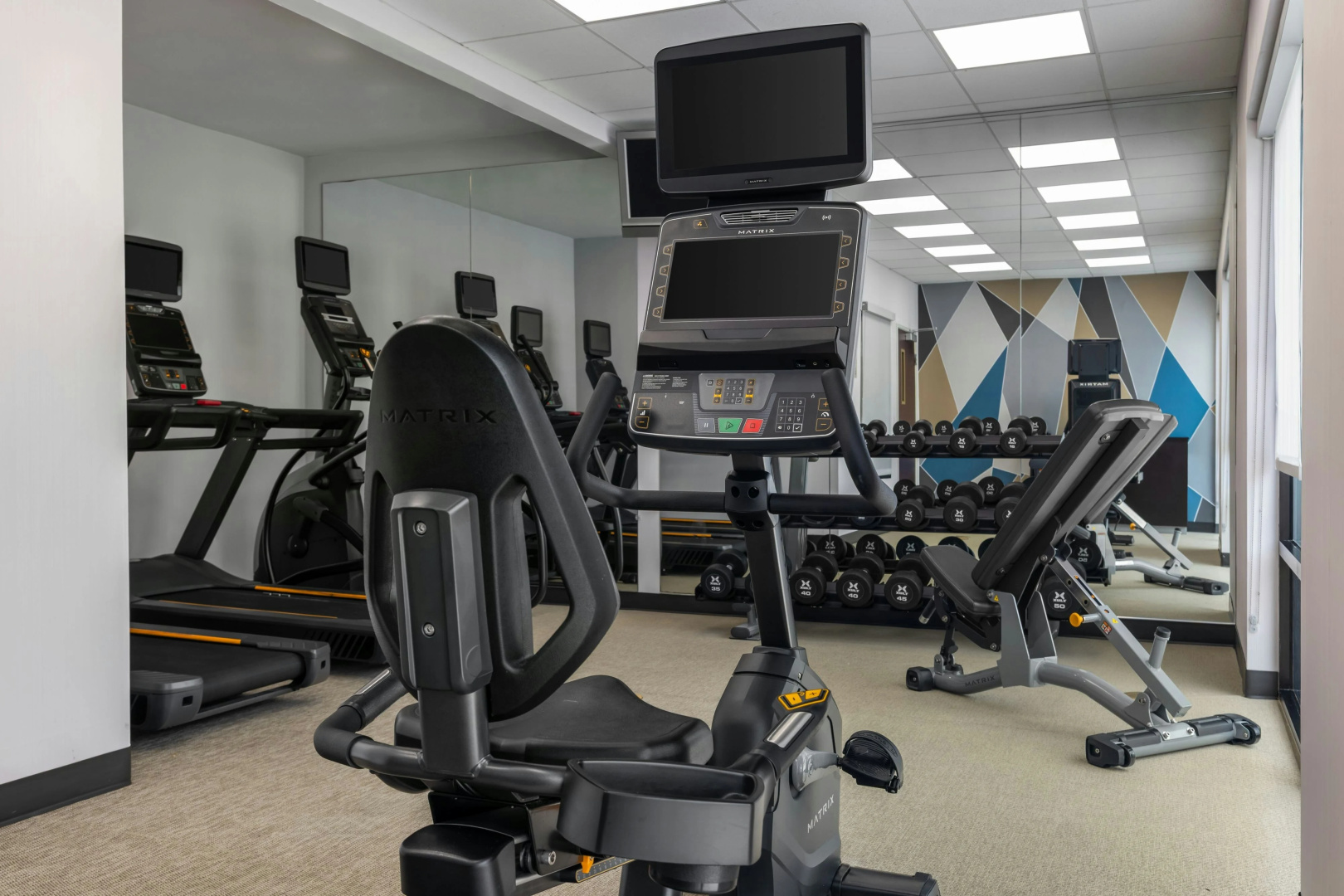 Foto - Springhill Suites by Marriott Tampa Brandon