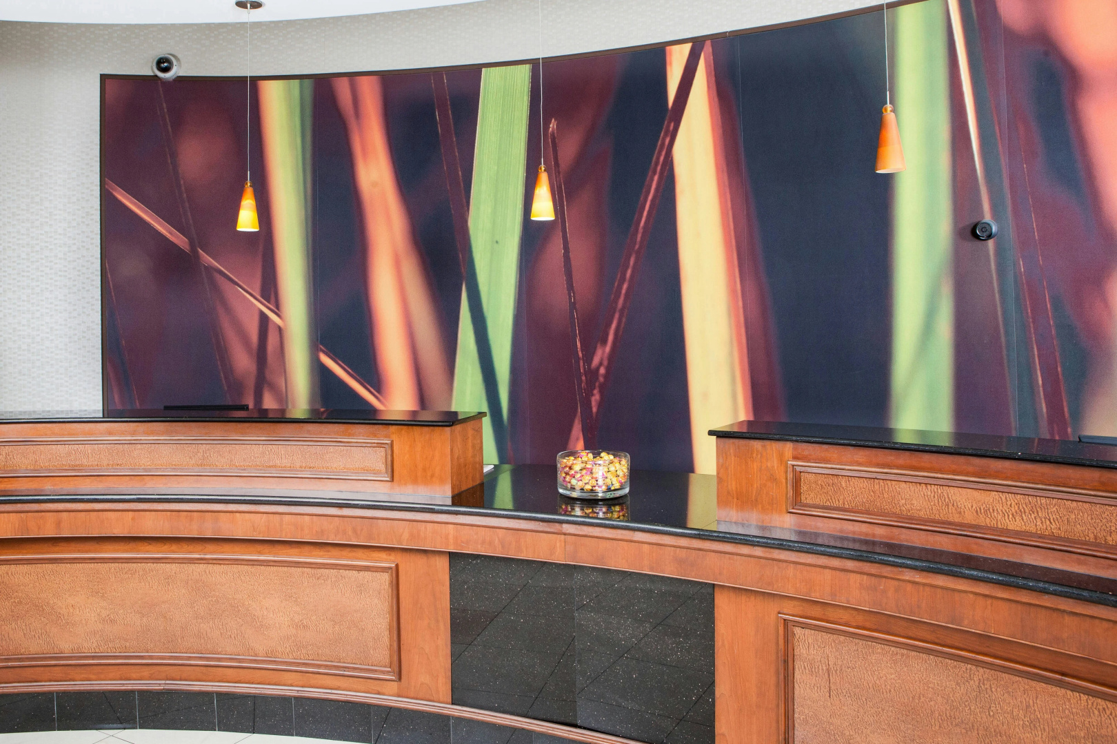 Foto - SpringHill Suites by Marriott Norfolk Virginia Beach