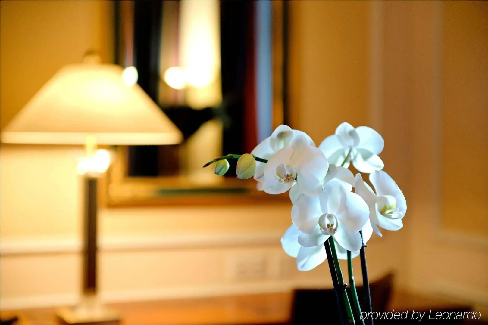 Photo - Hotel Schweizerhof Zürich
