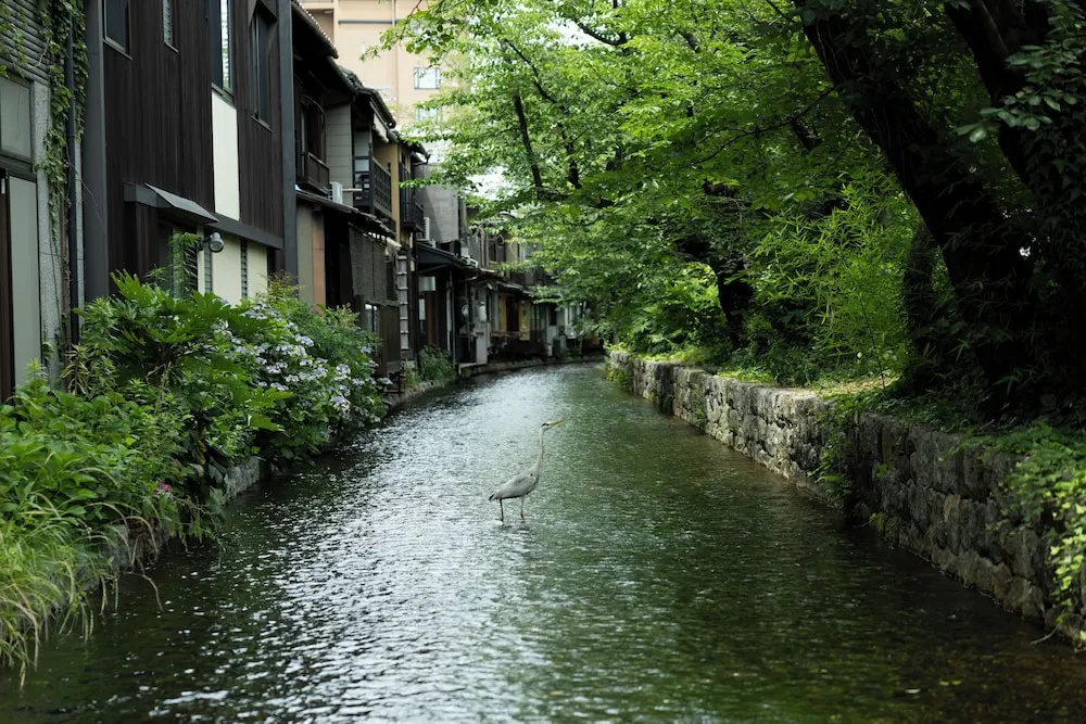 Photo - yugen kyoto shijo