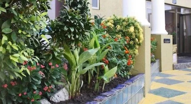 Foto - Sonia Hotel