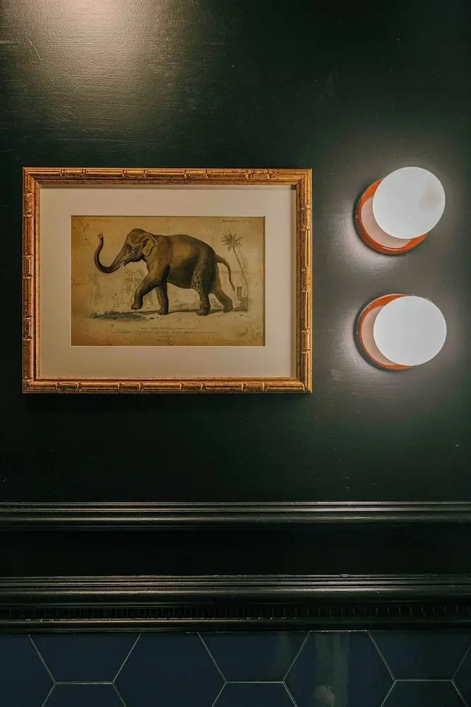 Foto - V Collection Condotti